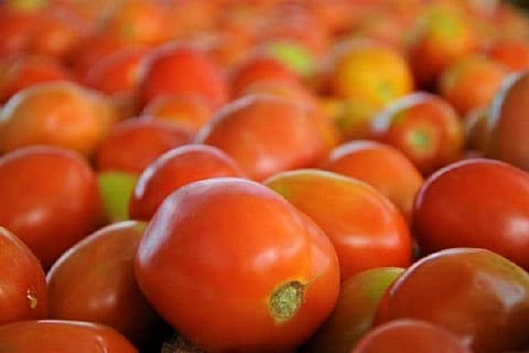A pile of tomatoes