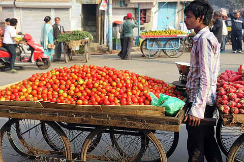 A tomato vendor