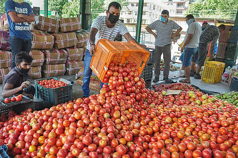 A vendor sorts tomatoes at Bhuntar vegetable market