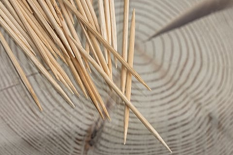 Extinct human-like species Neanderthals might have used toothpicks just like us