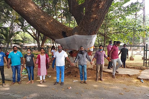 Trees being protected by residents living around HAL Junction in Bengaluuru 