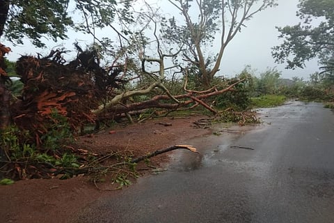 Cyclone Titli wreaks havoc: Crops damaged, power supply hit in 3 Andhra districts