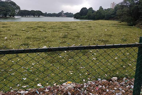 Ulsoor Lake