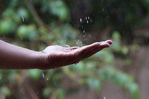 Bengaluru, if you want water and don’t want to pay a fine, start harvesting rainwater