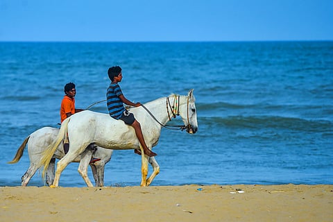 Youngsters ride horses at Pattinapakkam beach in Chennai