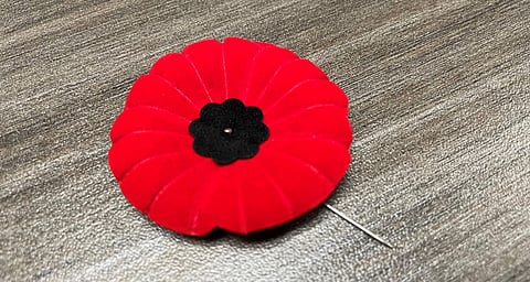 Poppy 