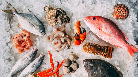 Seafood