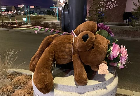 Calgary man tried to lure kids with lost dog and candy