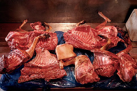 Various cuts of dog meat