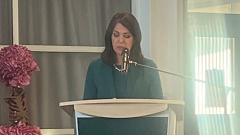Alberta Premier Danielle Smith said Albertans and Canadians need her government to fight the Clean Electricity Regulations.  