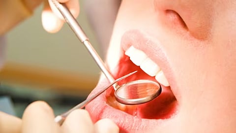 Dentist exam 