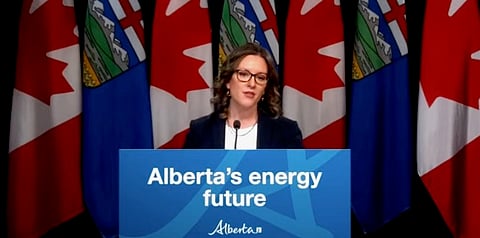 Environment Minister Rebecca Schulz