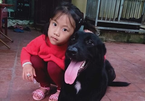 WATCH: Dog saves little girl from intruder
