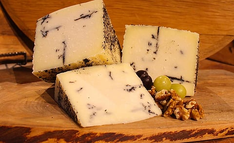 The UK has broken off free trade negotiations with Canada over cheese tariffs.