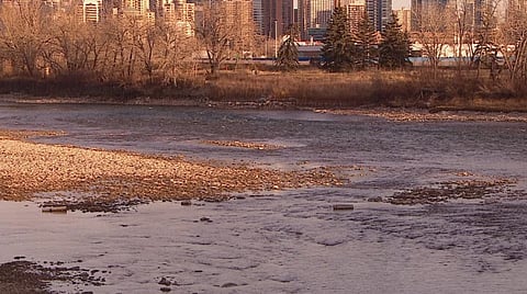 Low water levels on the Bow River