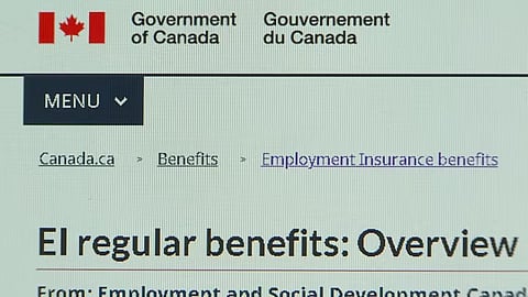Employment Insurance 