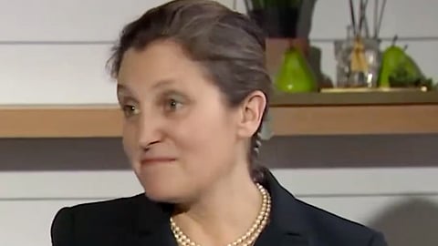 Deputy Prime Minister Chrystia Freeland commented on the arrest of Rebel News reporter David Menzies after he tried to ask her questions. 