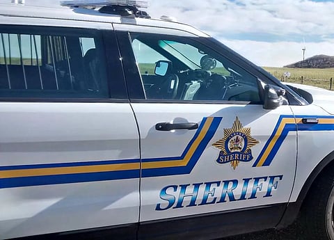Alberta Sheriffs plan to hire more than 100 new recruits in 2024.