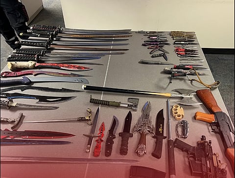 Edmonton police uncover weapons cache at homeless encampment