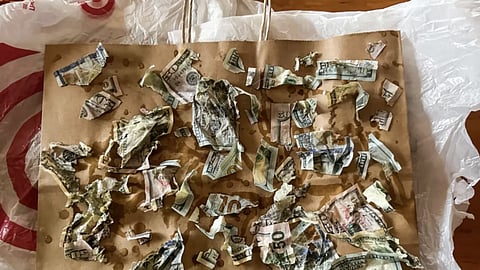 The strips of chewed up cash that the Laws had to piece together.