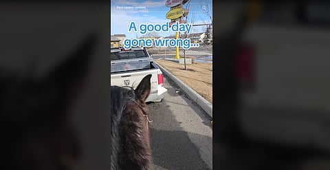 WATCH: Woman restricted from riding her horse as transportation in High River, AB 