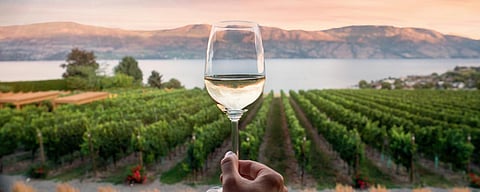 Alberta is threatening to restrict BC wine sales.
