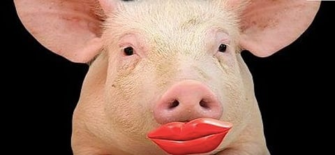See what they're doing here? They're putting lipstick on a pig. CTF Alberta Director Kris Sims exposes the hypocrisy of the Trudeau Liberal rebranding of the federal carbon tax 