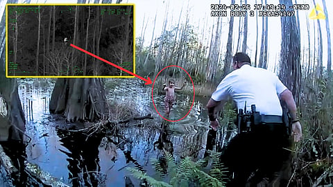 Swamp CCTV