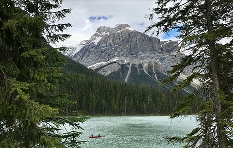 Emerald Lake in Yoho, a popular canoeing spot, is closed this summer due to whirling disease.