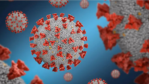 CDC admits COVID-19 same as common flu