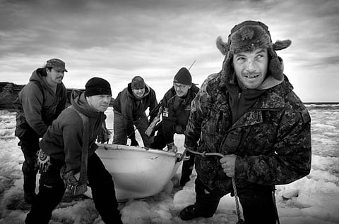 A group of men hauling their  boat over the ice, preparing for a seal harvest expedition. 