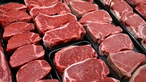 Meat 