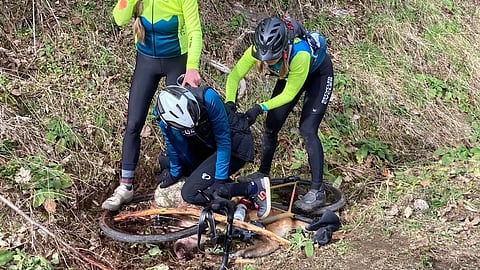 Washington State cyclists pin down rogue cat