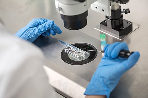 BC government unexpectedly includes taxpayer-funded IVF in budget