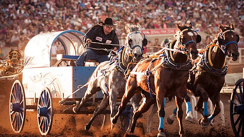 2024 will mark the 101st Rangeland Derby at the Stampede
