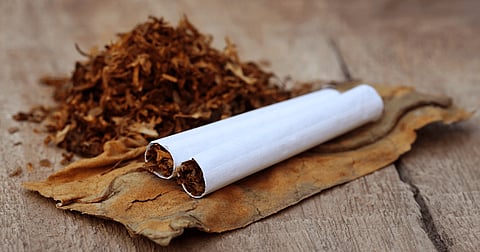 Tobacco