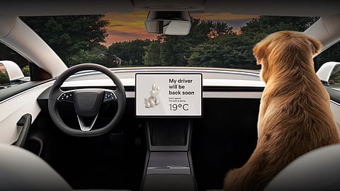 Critics are blaming CEO Elon Musk for Tesla’s poor financial performance.