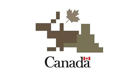 Canada deconstructed?
The new Canadian Army rebranding logo has also been compared to an "8-bit bear humping a moose..." Writer John Thomson, a former soldier himself, is spectacularly unimpressed.