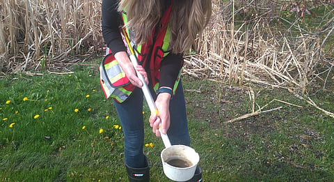 'Low to average' mosquito season kicks off over May long weekend
