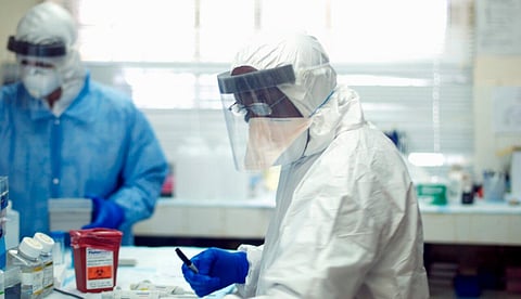 Chinese scientists create mutant Ebola virus, kills 80% in group of hamsters