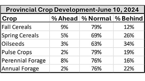 Late seeding due to rain has left some crops behind normal development