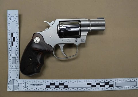 Hunter Biden hand gun