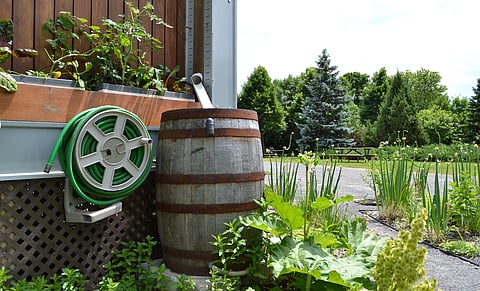 Backyard rain collection — an idea whose time has come says economist Gary Lai, who takes note of some successful Third World examples. 