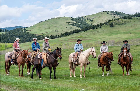 Nature Conservancy of Canada expands conservation efforts in Alberta's Southern foothills