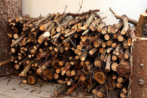 Stack of firewood next to a building