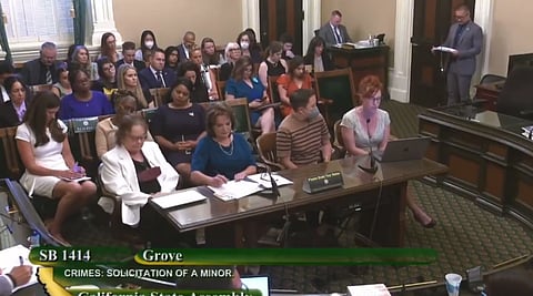 Social justice activists opposed Senate Bill 1414 by complaining it will harm sexual minorities and non-white people. 