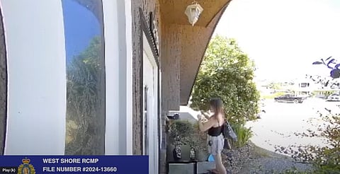Thief crook