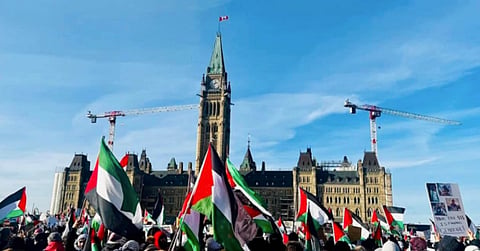 Palestine supporters in front of Parliament