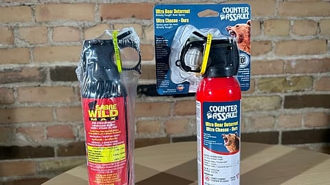 Bear spray 