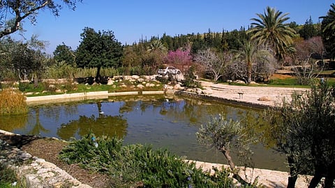 Canada Park, shown here, was built by the Jewish National Fund in 1967